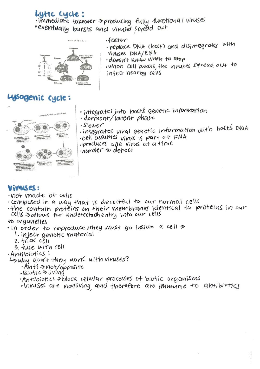 # unit 1 test 8.20.23

y: Study of life
biolife
•ology study of

rudy biology?
C
ploring living organisms allows for advancements in medicin