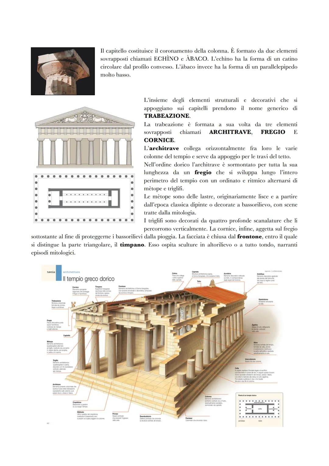 # GLI ORDINI ARCHITETTONICI

L'ordine architettonico è la più grande novità che i Greci introducono nell'arte del costruire e risponde a una