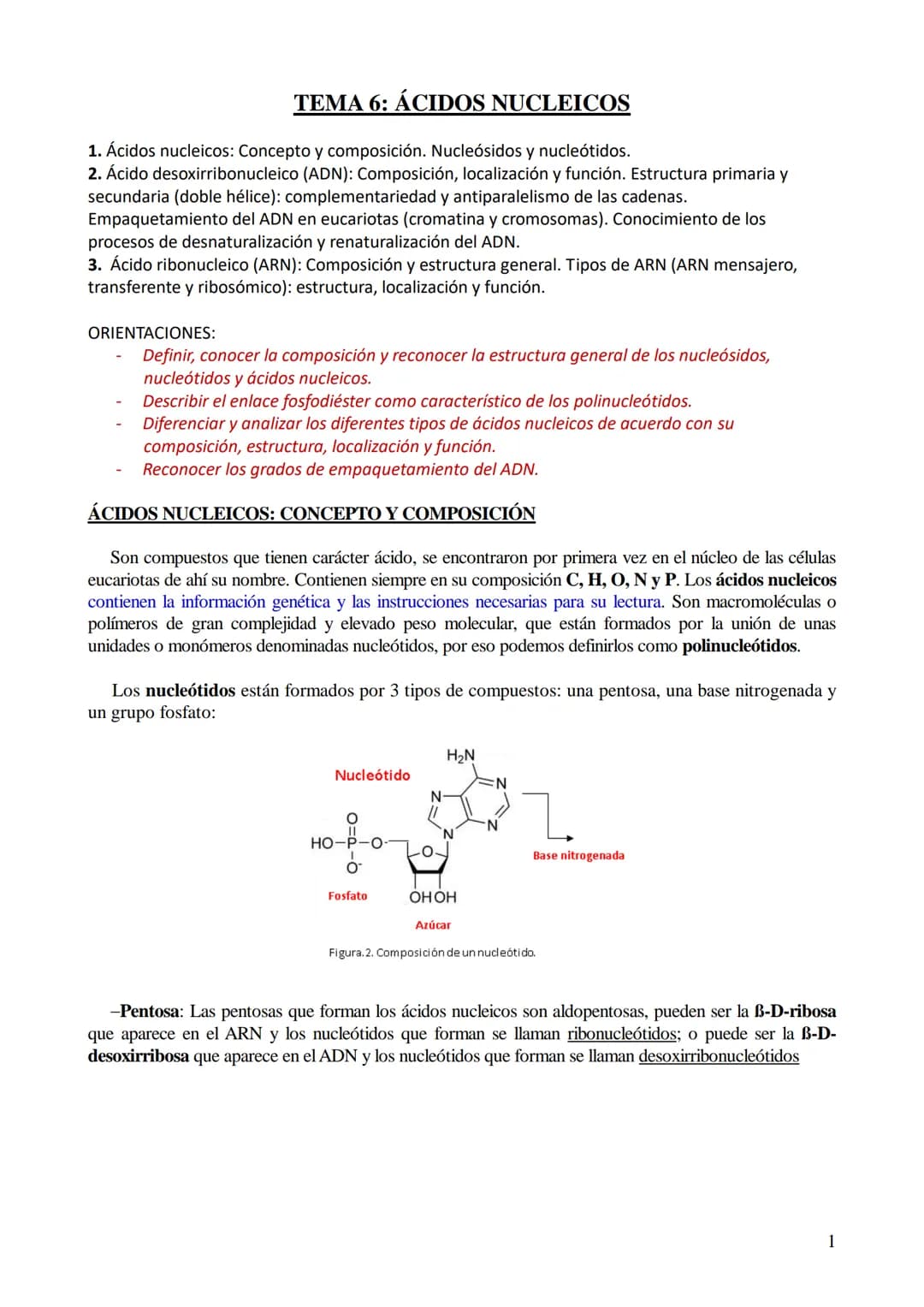 # TEMA 6: ÁCIDOS NUCLEICOS

1. Ácidos nucleicos: Concepto y composición. Nucleósidos y nucleótidos.
2. Ácido desoxirribonucleico (ADN): Comp