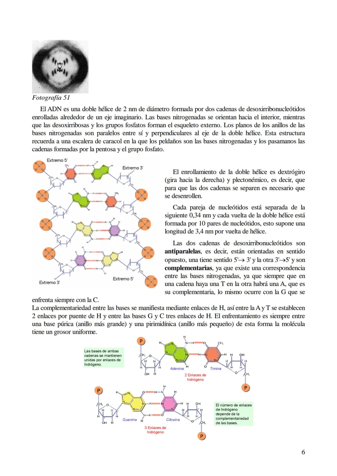 # TEMA 6: ÁCIDOS NUCLEICOS

1. Ácidos nucleicos: Concepto y composición. Nucleósidos y nucleótidos.
2. Ácido desoxirribonucleico (ADN): Comp