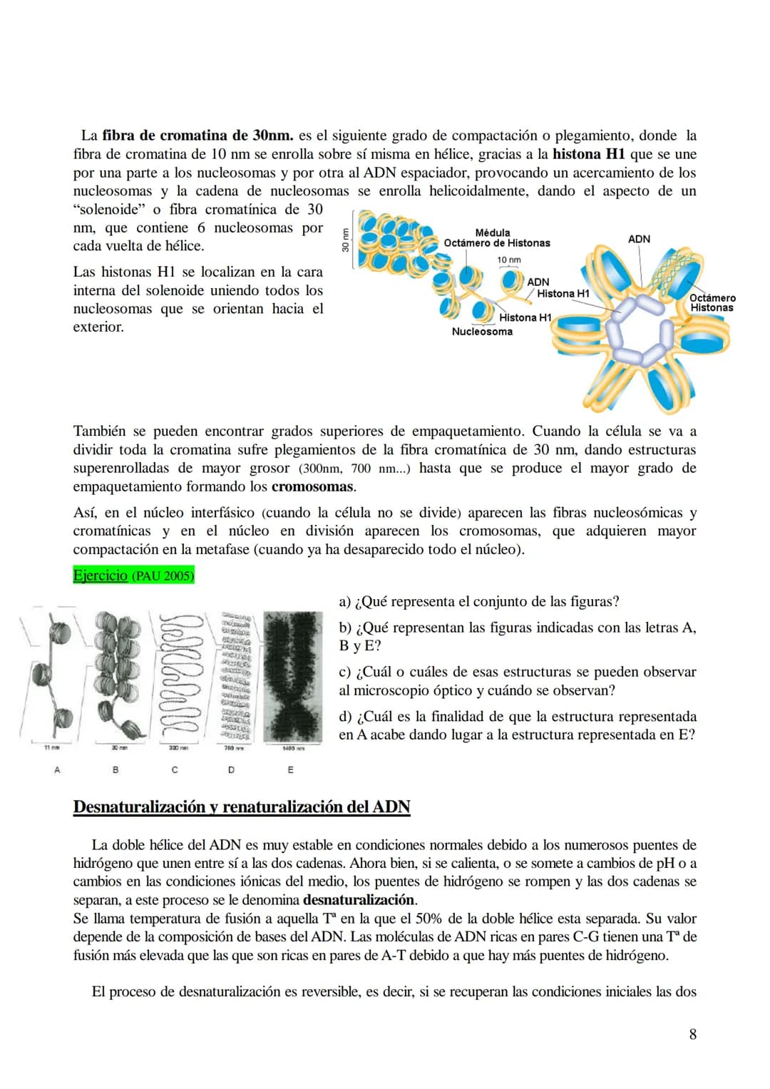 # TEMA 6: ÁCIDOS NUCLEICOS

1. Ácidos nucleicos: Concepto y composición. Nucleósidos y nucleótidos.
2. Ácido desoxirribonucleico (ADN): Comp