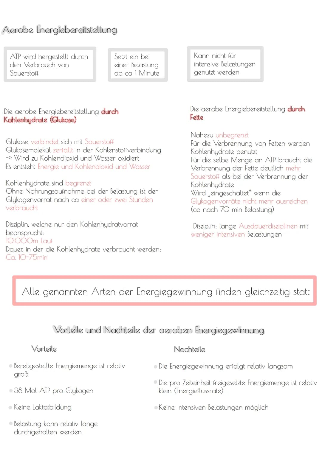 # Energiebereitstellung

Anaerobe Energiebereitstellung

ATP ist der einzige Energielieferant. Die
anderen Speicher dienen NUR zum
Auffüllen