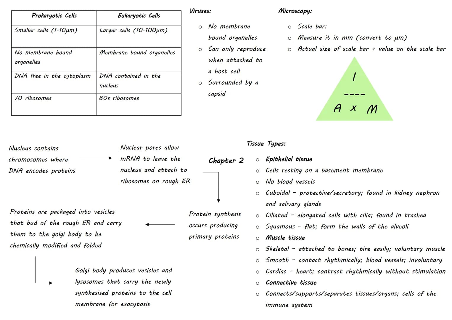 | Inorganic Molecule | Animal Importance | Plant Importance |
|---|---|---|
| Magnesium | Bones | Chlorophyll (no growth) |
| Iron |  | Haem