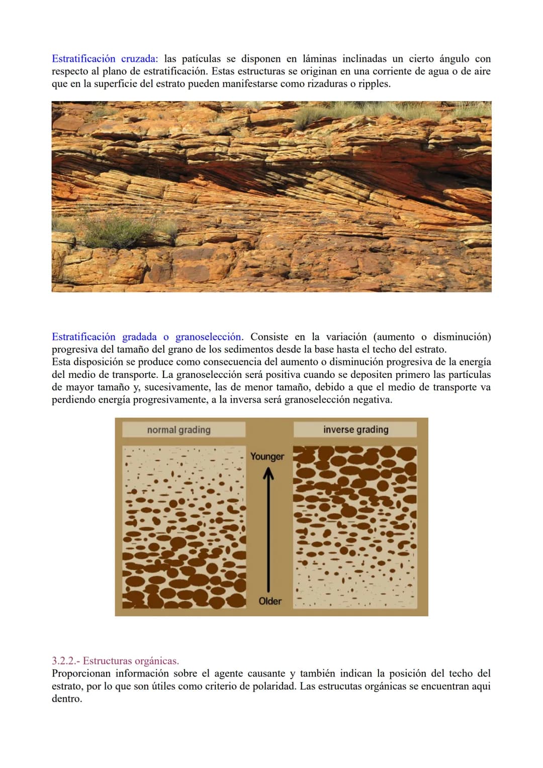 TEMA 3: Las rocas. Rocas sedimentaias.

1.- Ciclo de las rocas

2.- Sedimentación y rocas sedimentarias.

3.- Estrstificación y estructuras 