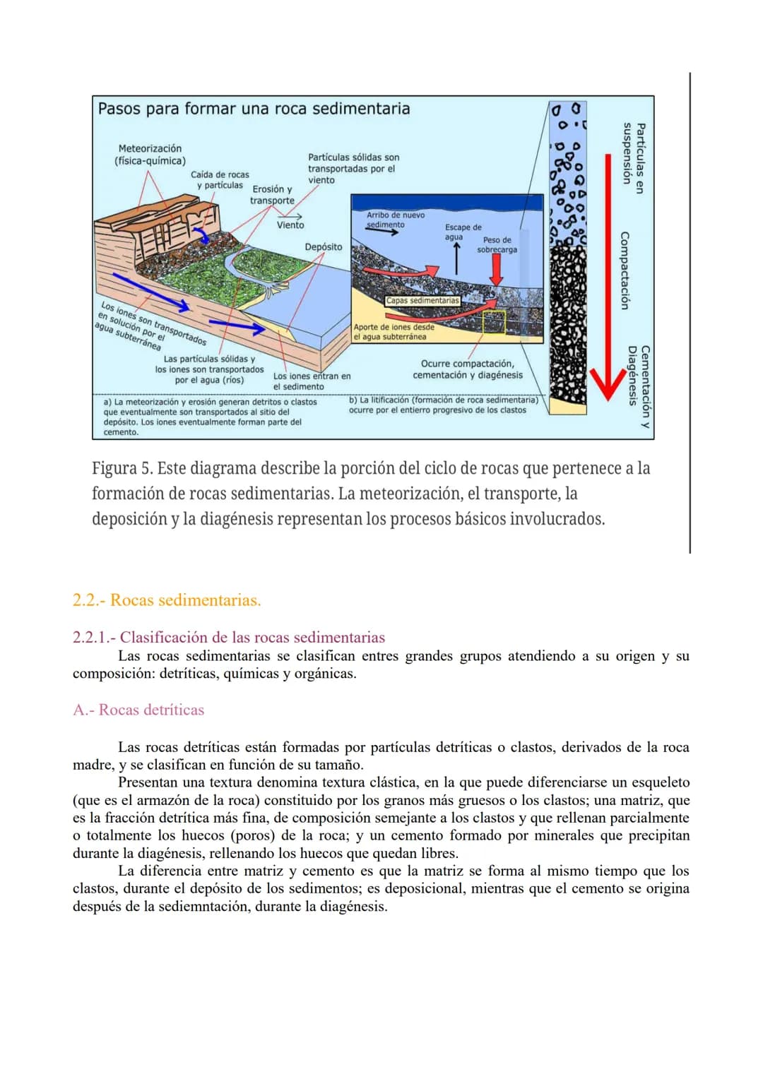 TEMA 3: Las rocas. Rocas sedimentaias.

1.- Ciclo de las rocas

2.- Sedimentación y rocas sedimentarias.

3.- Estrstificación y estructuras 