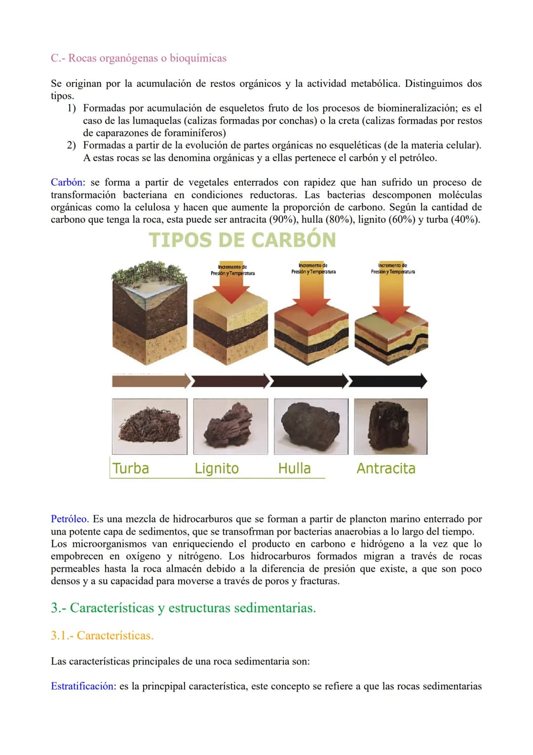 TEMA 3: Las rocas. Rocas sedimentaias.

1.- Ciclo de las rocas

2.- Sedimentación y rocas sedimentarias.

3.- Estrstificación y estructuras 