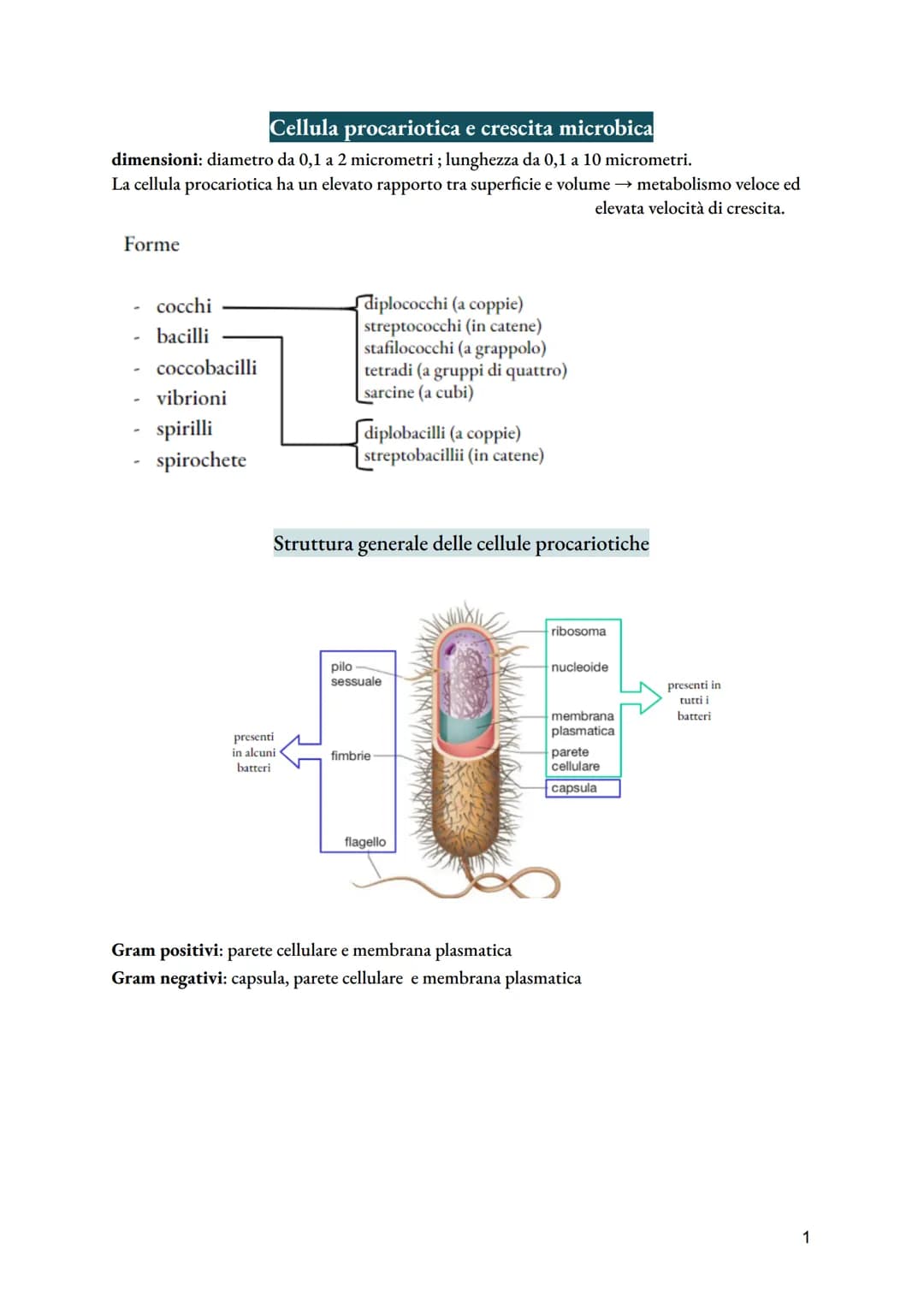 # Cellula procariotica e crescita microbica

dimensioni: diametro da 0,1 a 2 micrometri; lunghezza da 0,1 a 10 micrometri.
La cellula procar