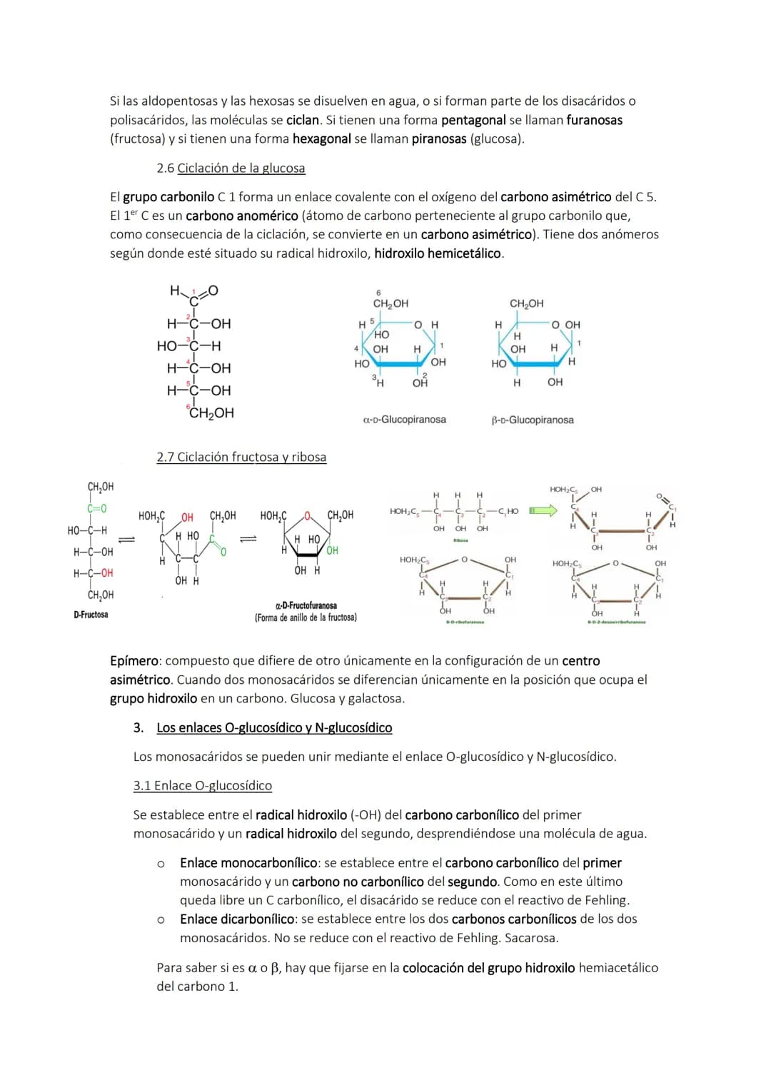 # TEMA 2. Los glúcidos

1. Los glúcidos

Son biomoléculas formadas principalmente por C, H y O. Son átomos de C unidos a radicales de
hidróg