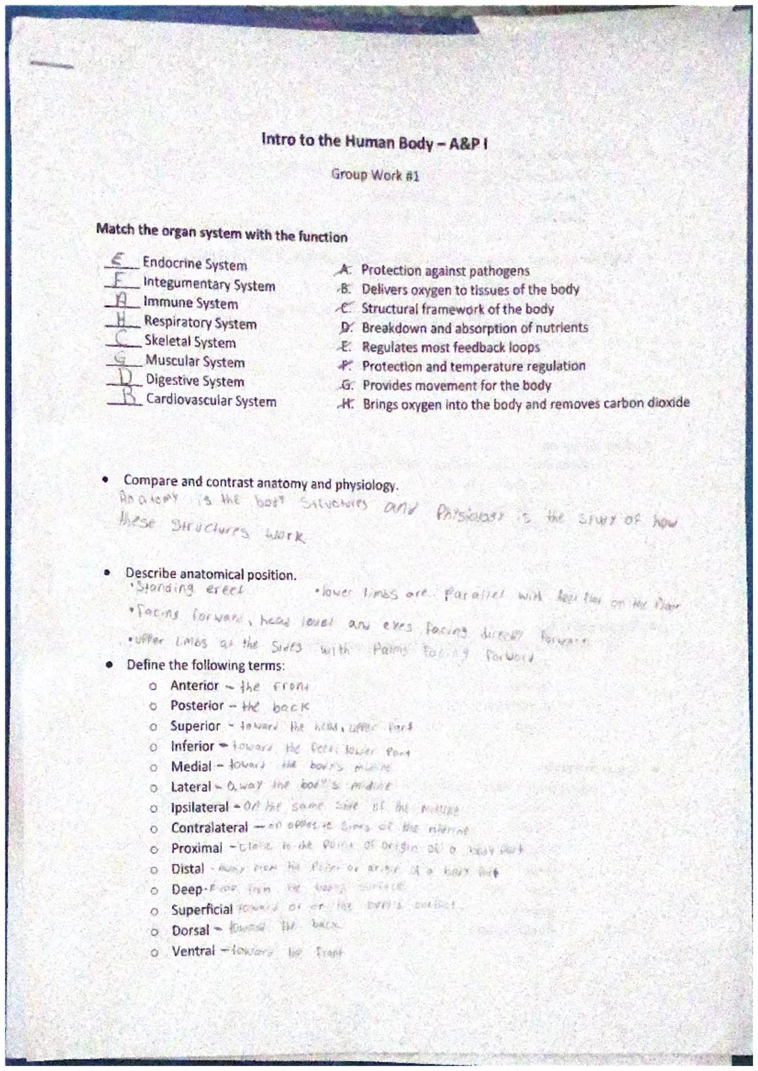 # Intro to the Human Body - A&PI

Group Work #1

Match the organ system with the function

E Endocrine System

F Integumentary System

A Imm