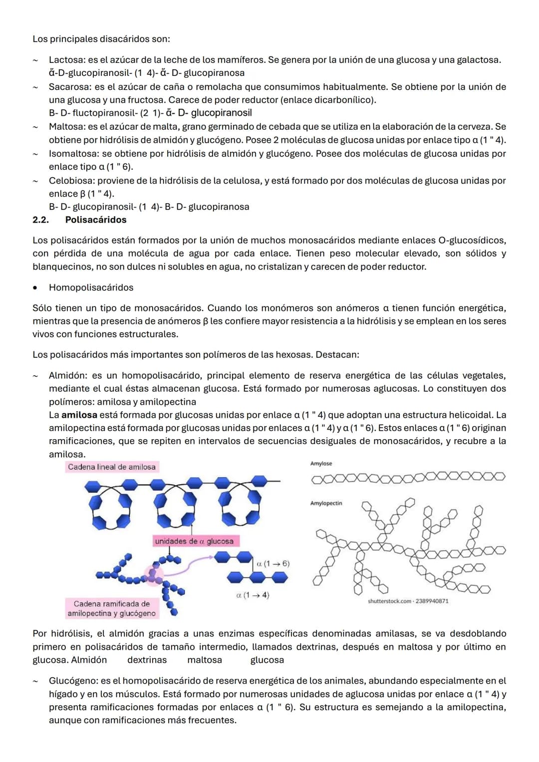 # UD 2: BIOMOLECULAS ORGANICAS: GLUCIDOS

Los glúcidos son biomoléculas orgánicas que están formadas principalmente por C, Hy O. Su fórmula 