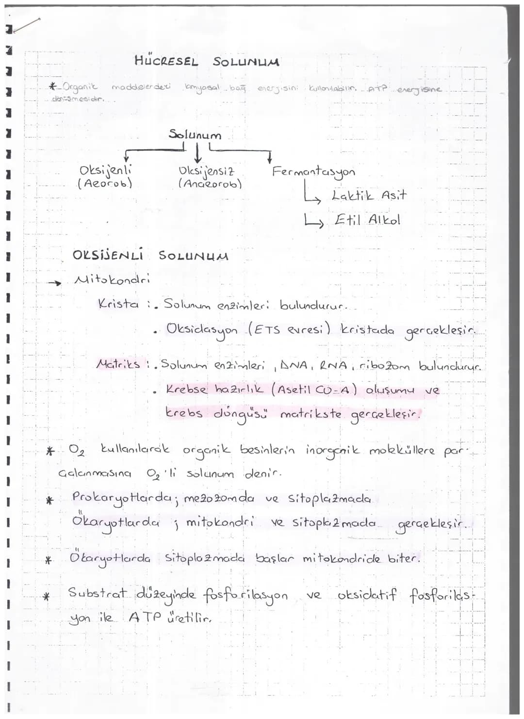 7
*-Organik
dönüşmesidir.

HÜCRESEL SOLUNUM

maddelerderi amyasal bağ enerjisini kullanılabilir. ATP enerjisine

Solunum

Oksijenli
(Aeorob)