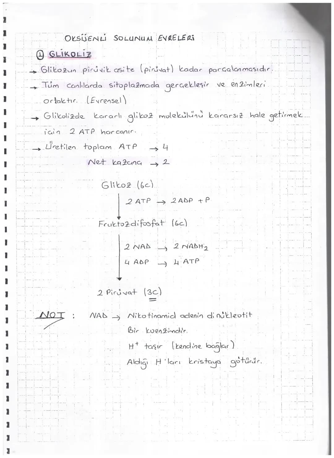 7
*-Organik
dönüşmesidir.

HÜCRESEL SOLUNUM

maddelerderi amyasal bağ enerjisini kullanılabilir. ATP enerjisine

Solunum

Oksijenli
(Aeorob)