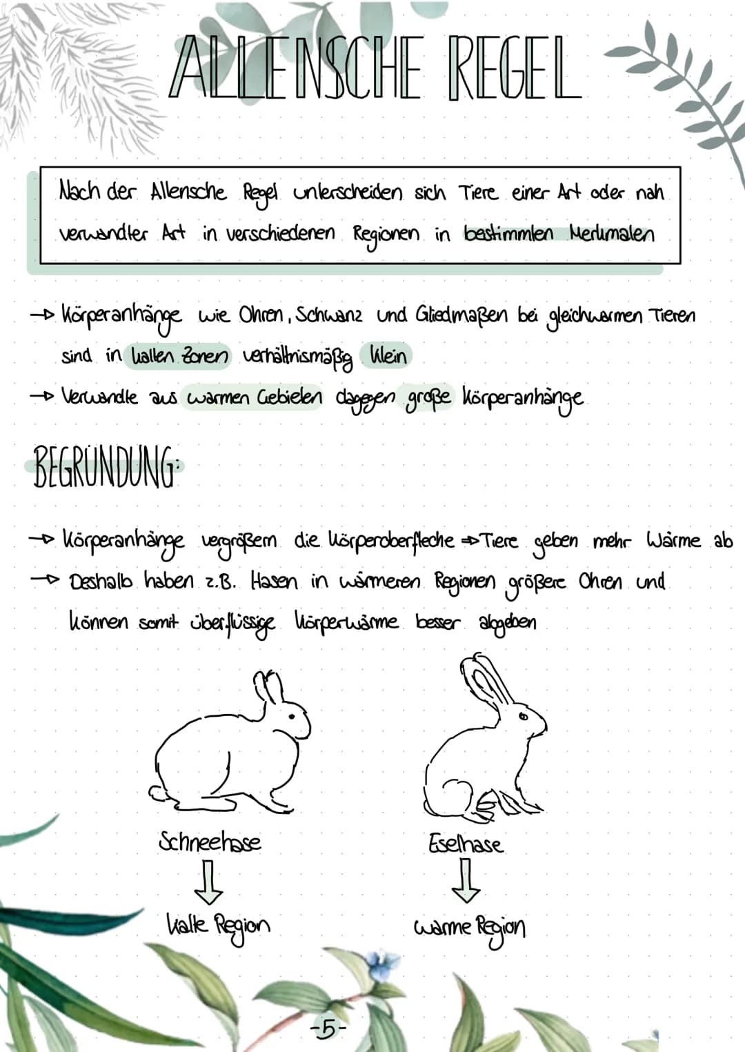 # BERGMANNSCHE REGEL

ENDOTHERME TIERE

→Säugetiere und Vögel konstante Körpertemperatur (je nach Tierart 35-44°C)

→
Energie
wird von einer