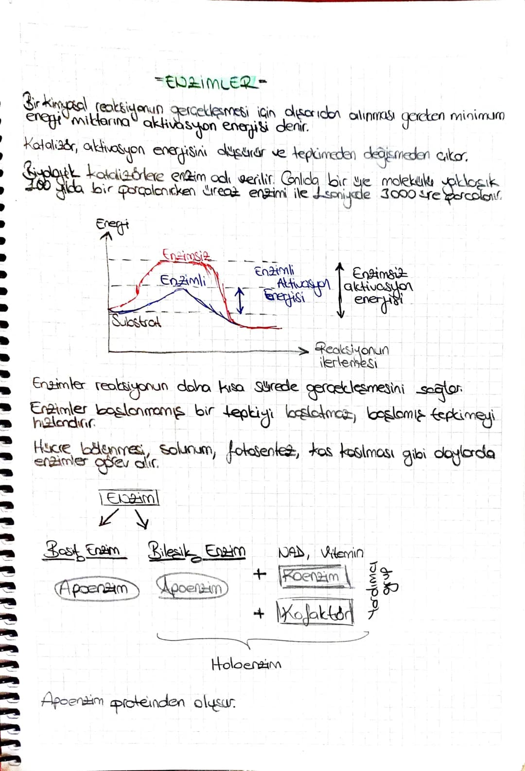 -ENZIMLER-

Bir kimyasal reaksiyonun gerçekleşmesi için dışarıdın alınması gereken minimuro
enegi miktarına aktivasyon enerjisi denir.
• Kat