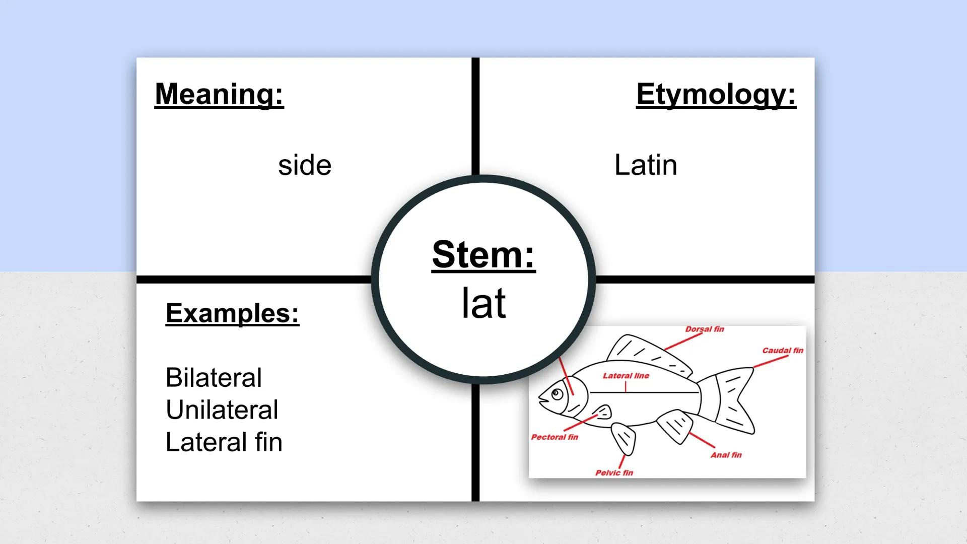 English 3
Word Within the Word
List 3 Meaning:

Feeling

Examples:

Sympathy
Pathetic
Pathos

Etymology:

Greek

Stem:
path

XX ### Meaning: