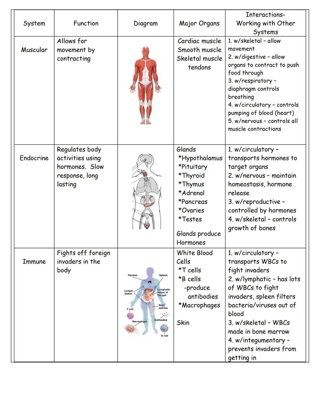 Name
Period
Date

# THE HUMAN BODY SYSTEMS

| System | Function | Diagram | Major Organs | Interactions-
Working with Other
Systems |
| --- 