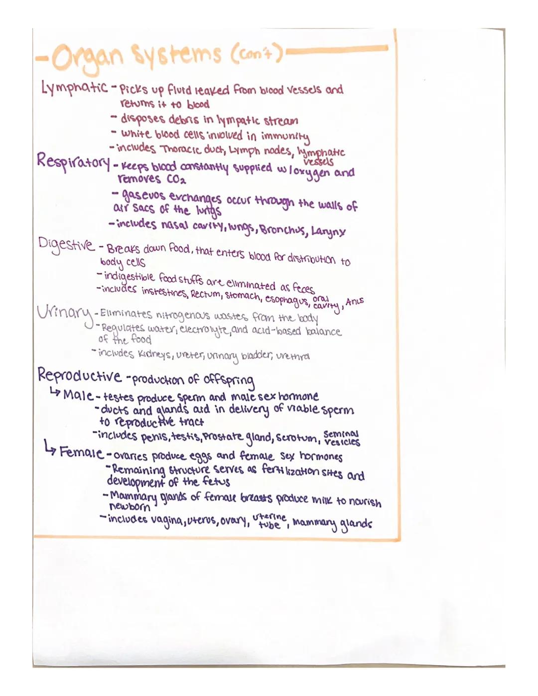 -Directional Terms
Superior-above; upper part of a structure
Inferior- below; lower part of the structure
Ventral (anterior)- in front of; T