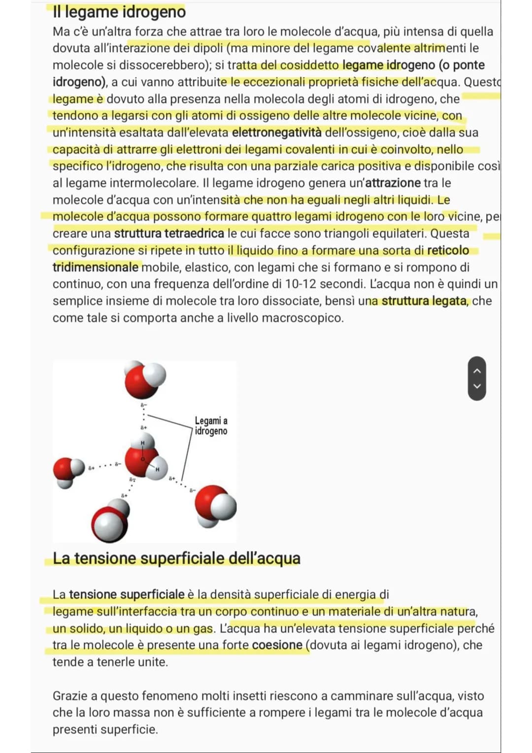 # L'acqua e le sue proprietà

L'acqua è uno degli elementi più diffusi sul nostro pianeta. Eppure, non tutti ne
conoscono le diverse caratte