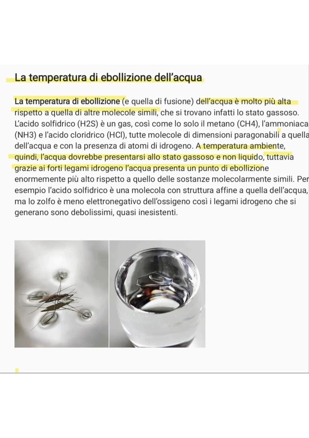 # L'acqua e le sue proprietà

L'acqua è uno degli elementi più diffusi sul nostro pianeta. Eppure, non tutti ne
conoscono le diverse caratte