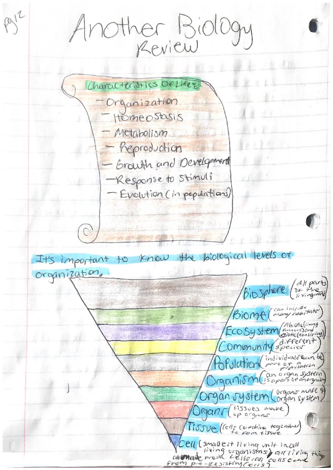 pyiz
PS Another, Bidogy

Characteristics Of Life:
-Organization
Homeostasis
Metabolism
Reproduction
Grouth and Development
-Response to stim