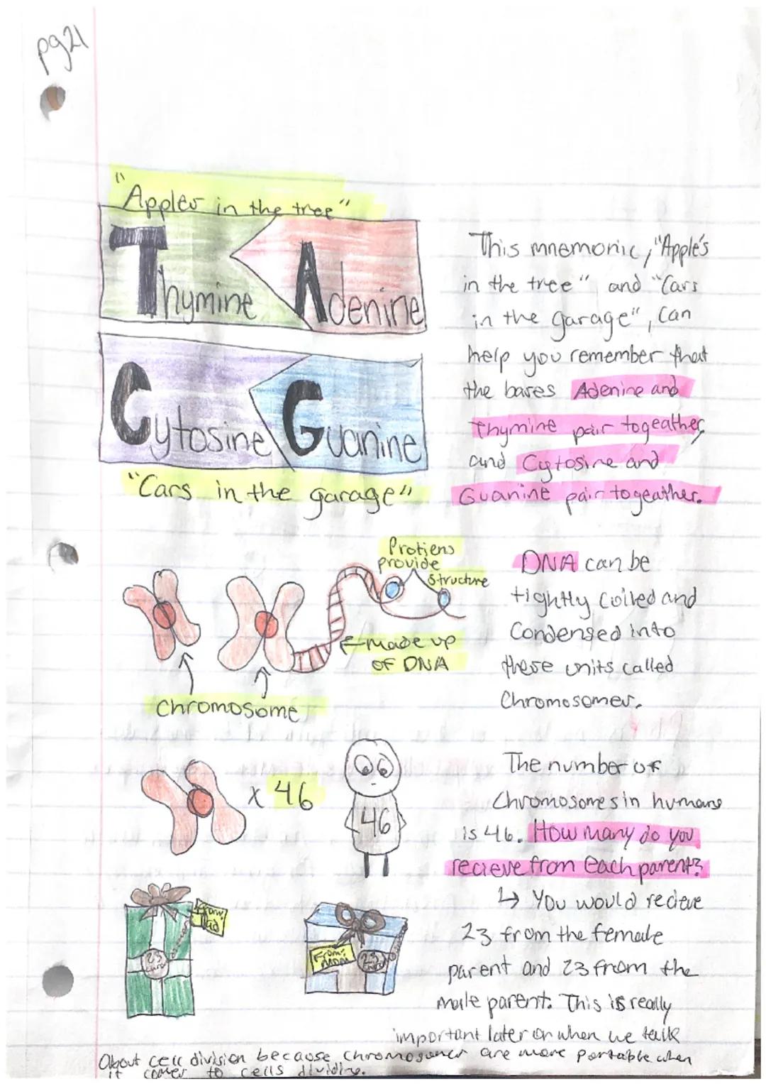 pyiz
PS Another, Bidogy

Characteristics Of Life:
-Organization
Homeostasis
Metabolism
Reproduction
Grouth and Development
-Response to stim