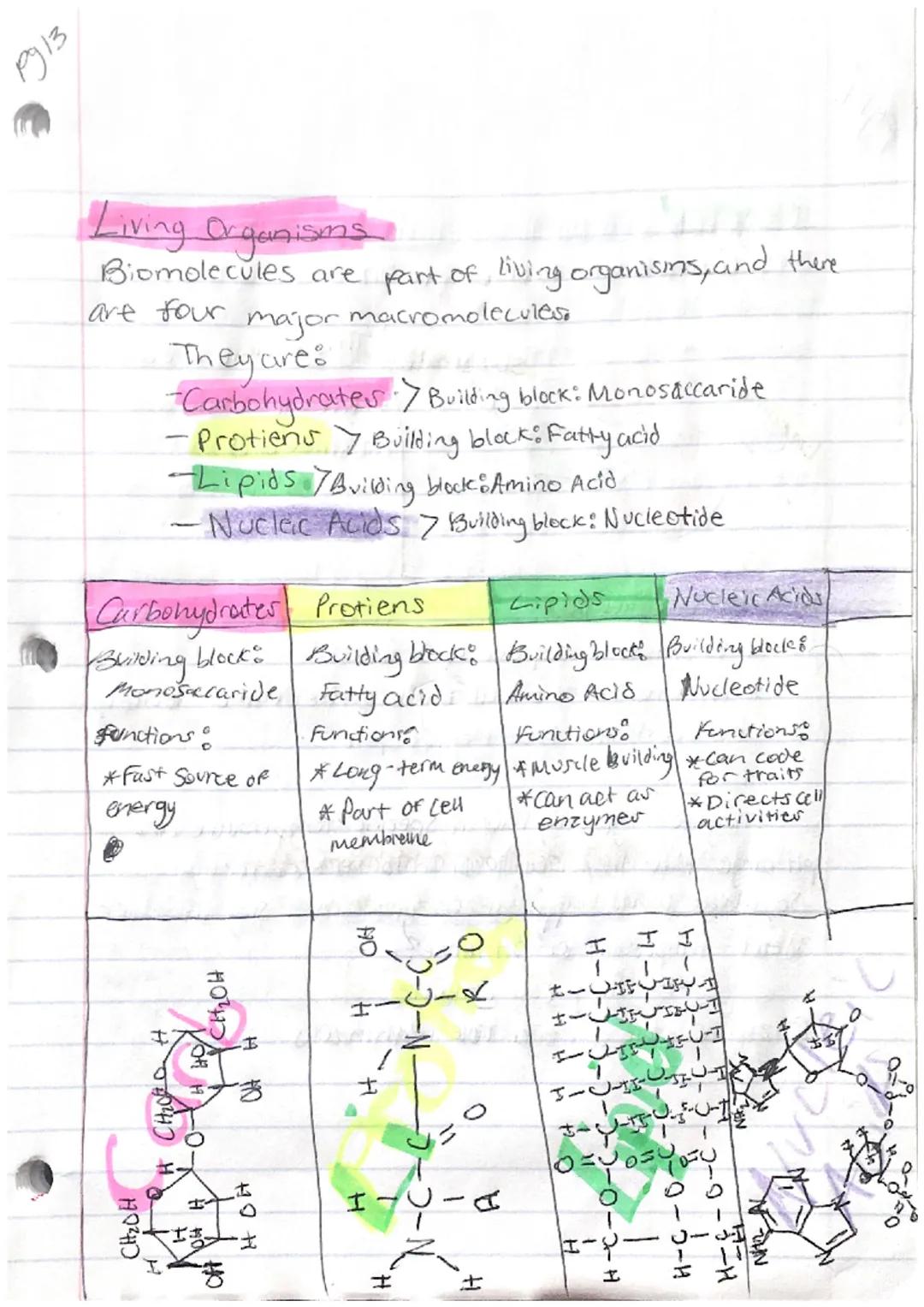 pyiz
PS Another, Bidogy

Characteristics Of Life:
-Organization
Homeostasis
Metabolism
Reproduction
Grouth and Development
-Response to stim
