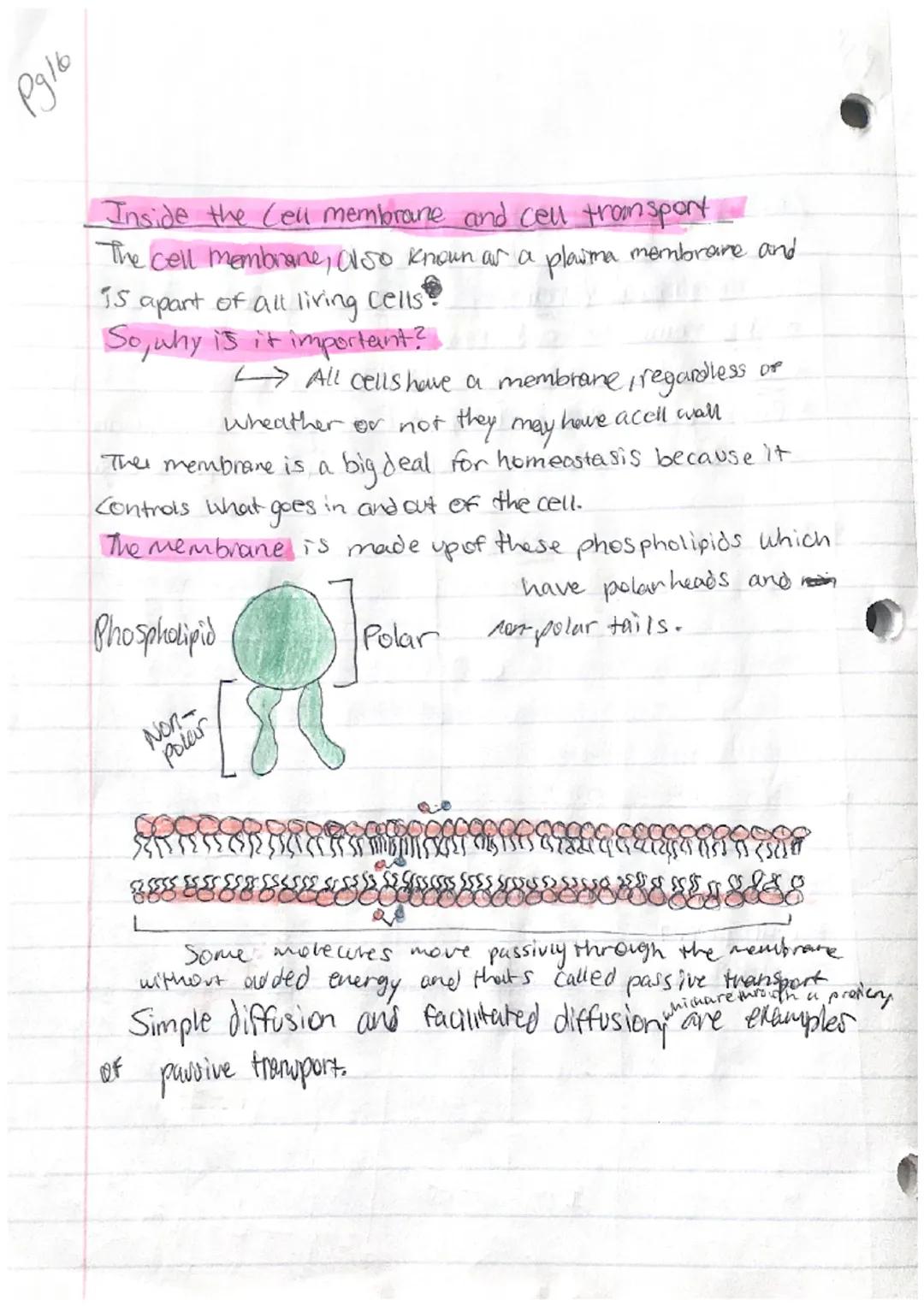 pyiz
PS Another, Bidogy

Characteristics Of Life:
-Organization
Homeostasis
Metabolism
Reproduction
Grouth and Development
-Response to stim