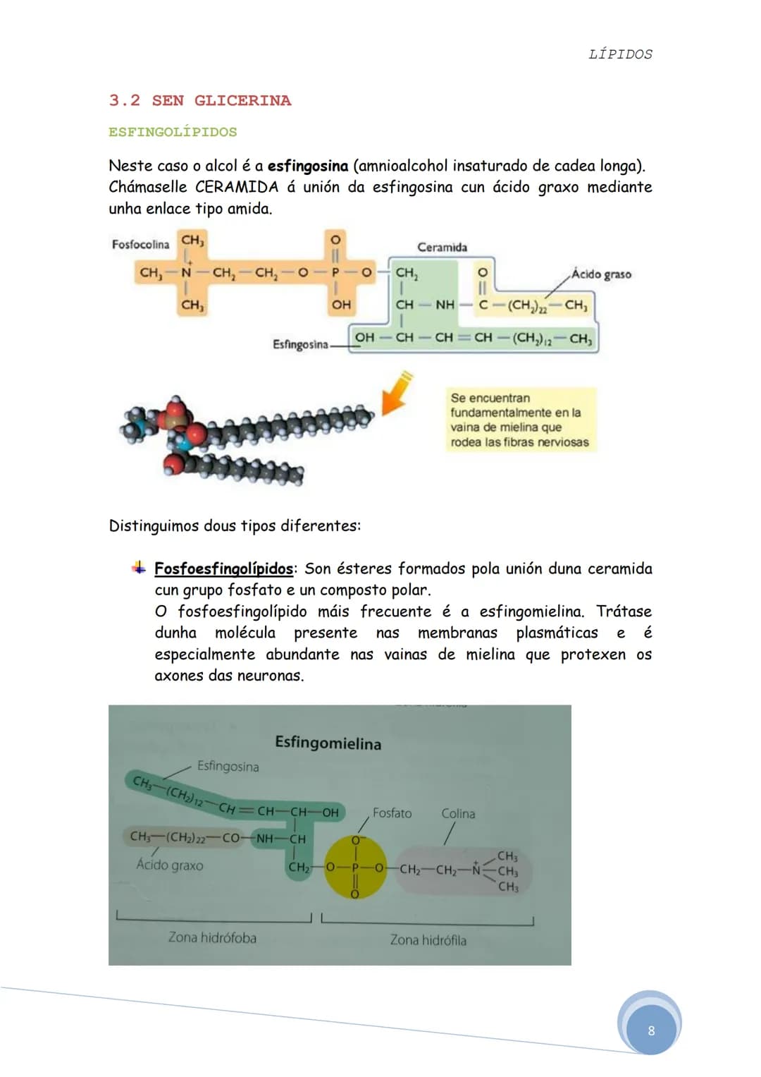 # LÍPIDOS

Os lípidos son biomoléculas orgánicas formadas por C, He O. Ás veces
poden aparecer nalgúns compostos P, Ne S.

Constitúen un gru