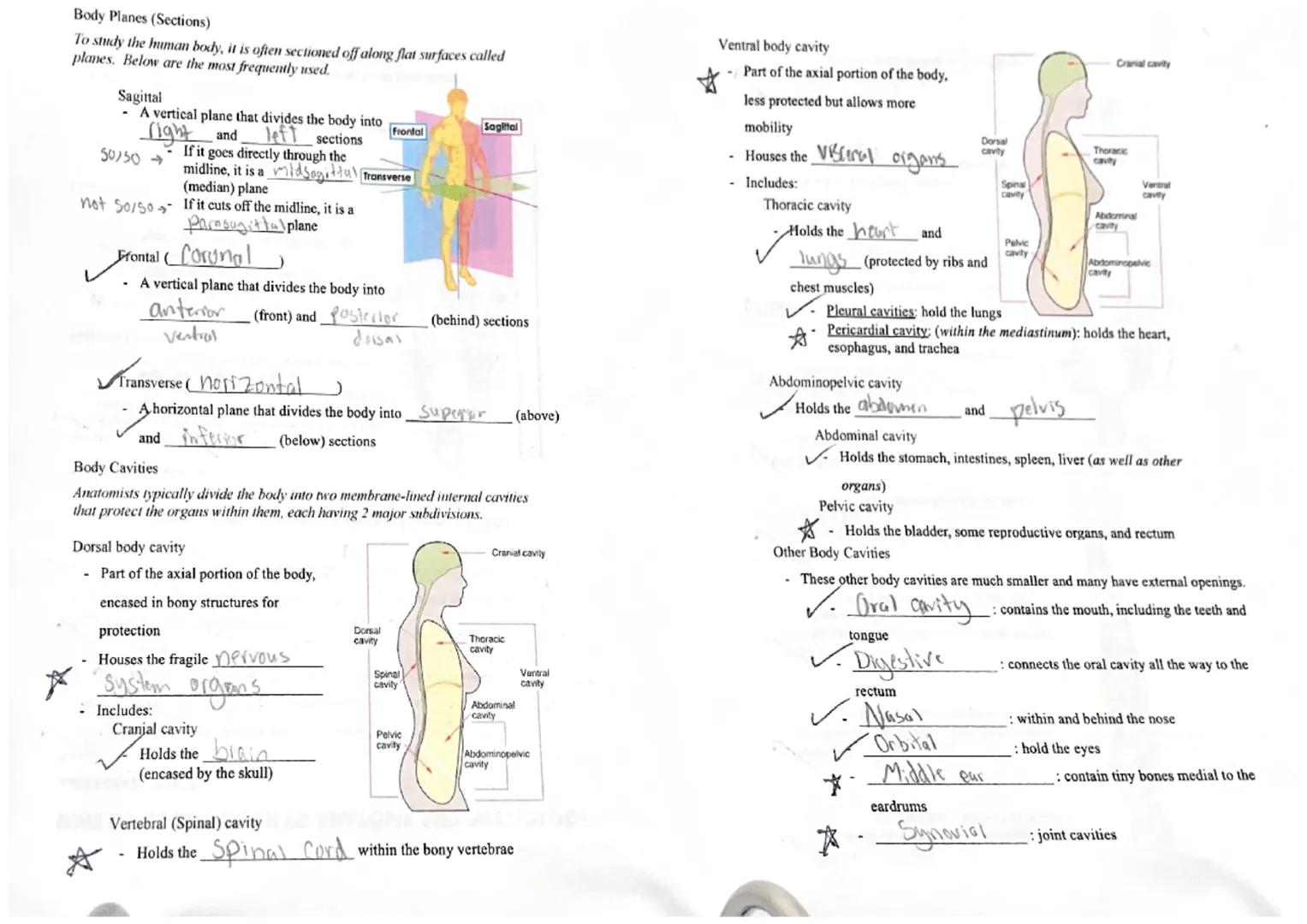 # UNIT 1: INTRODUCTION TO ANATOMY AND PHYSIOLOGY

ANATOMY BASICS

Overview

✓ anatomy: the study of bodily structures

✓. gross anatory - ma