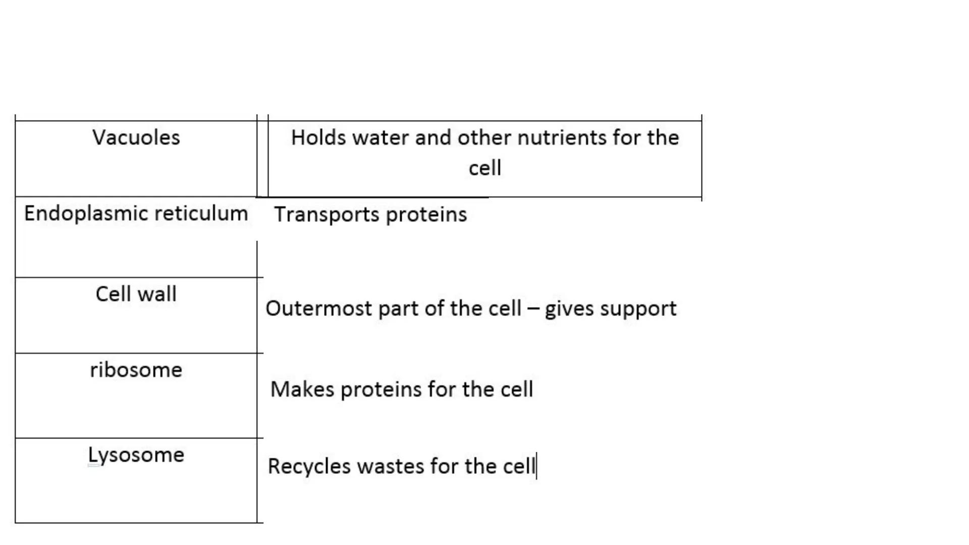 nucleus
Golgi
Complex
ribosome
::
mitochondria
ER
vacuole
cytoplasm
chromosome
Cell
membrane
chloroplast
Cell wall Cell membrane
Lets some t