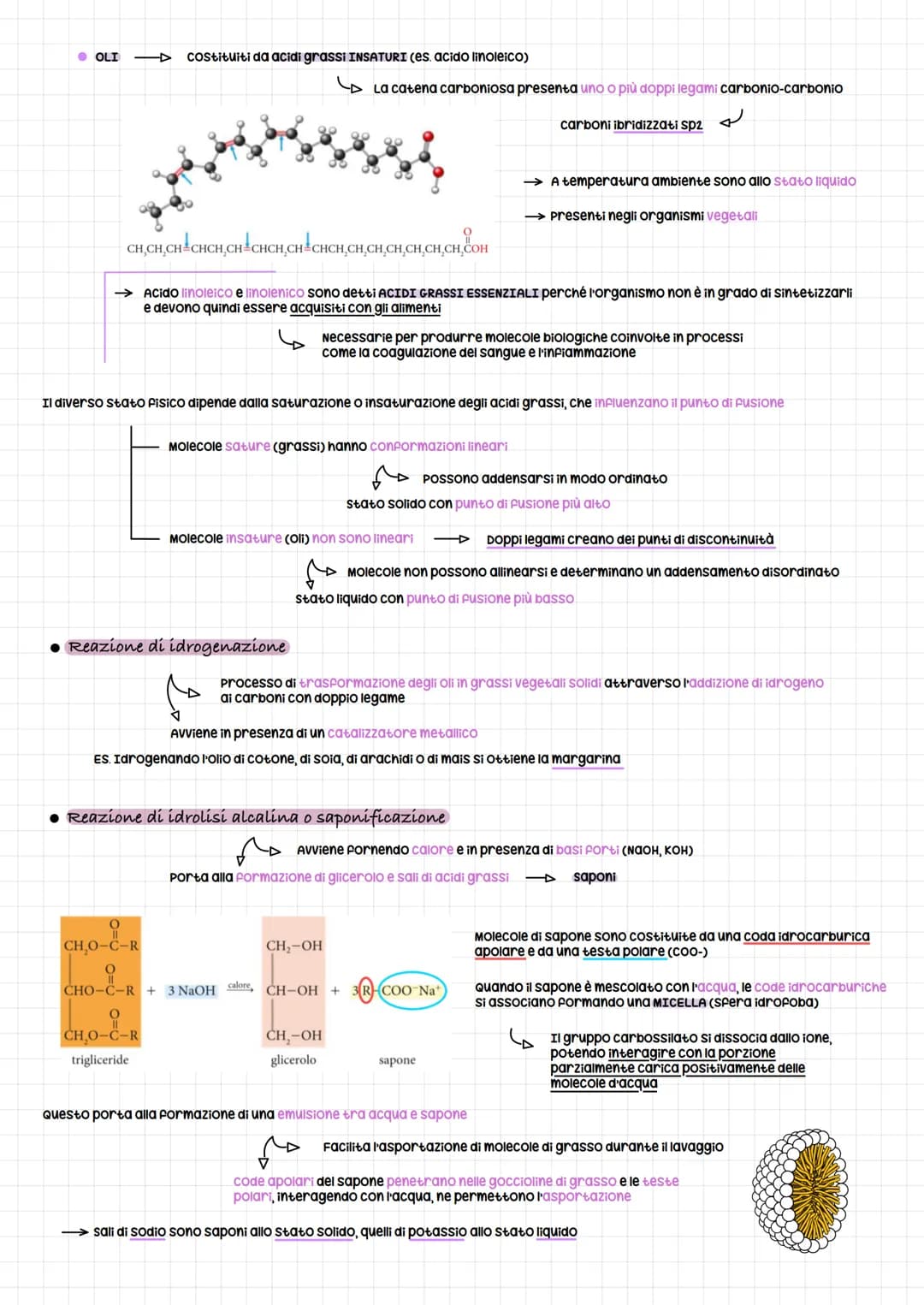 # I lipidi

LIPIDI SAPONIFICABILI E NON SAPONIFICABILI

I lipidi possono essere distinti in due grandi gruppi:

*   Lipidi SAPONIFICABILIO C