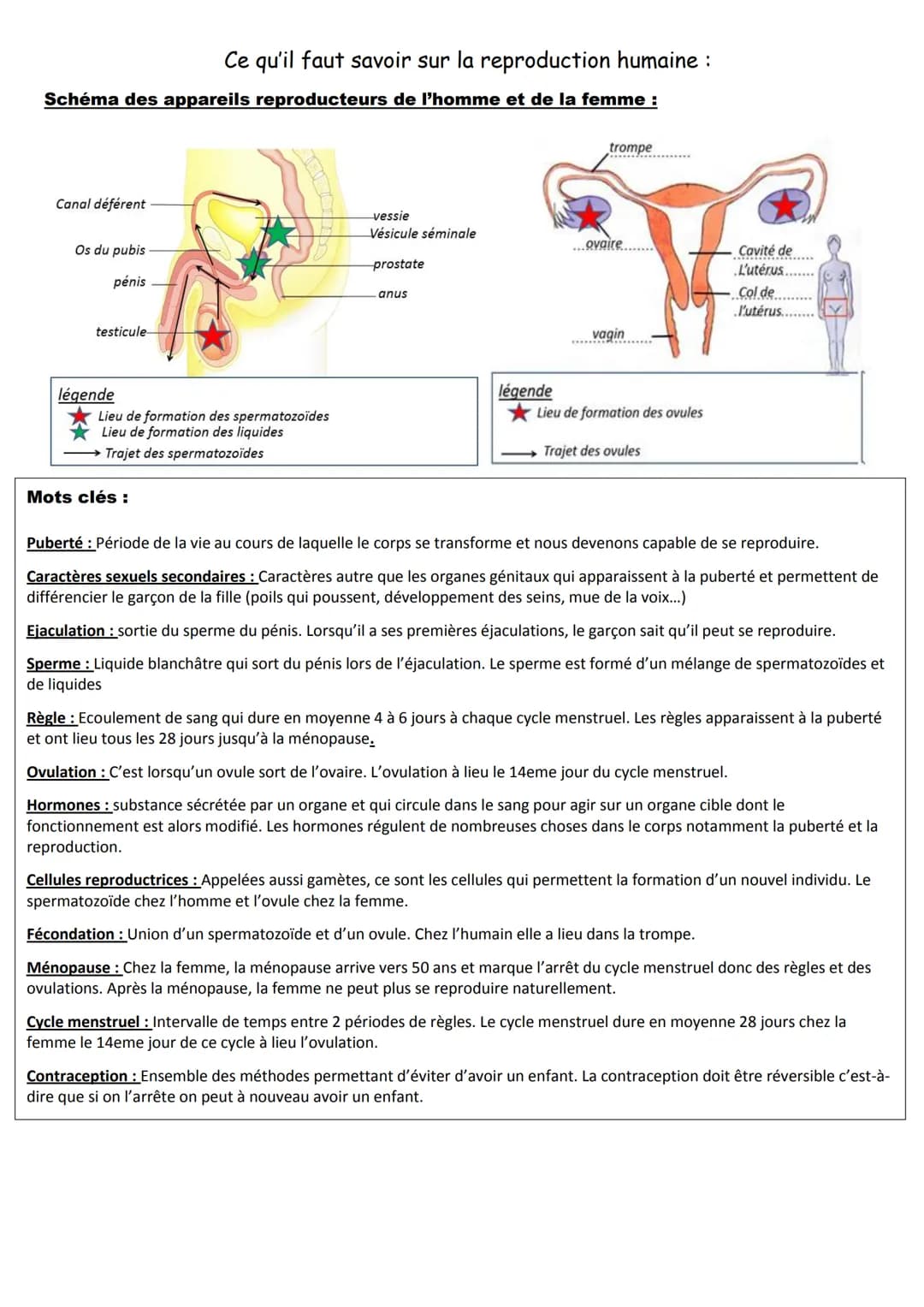 # Ce qu'il faut savoir sur la reproduction humaine:

# Schéma des appareils reproducteurs de l'homme et de la femme :

Canal déférent

Os du