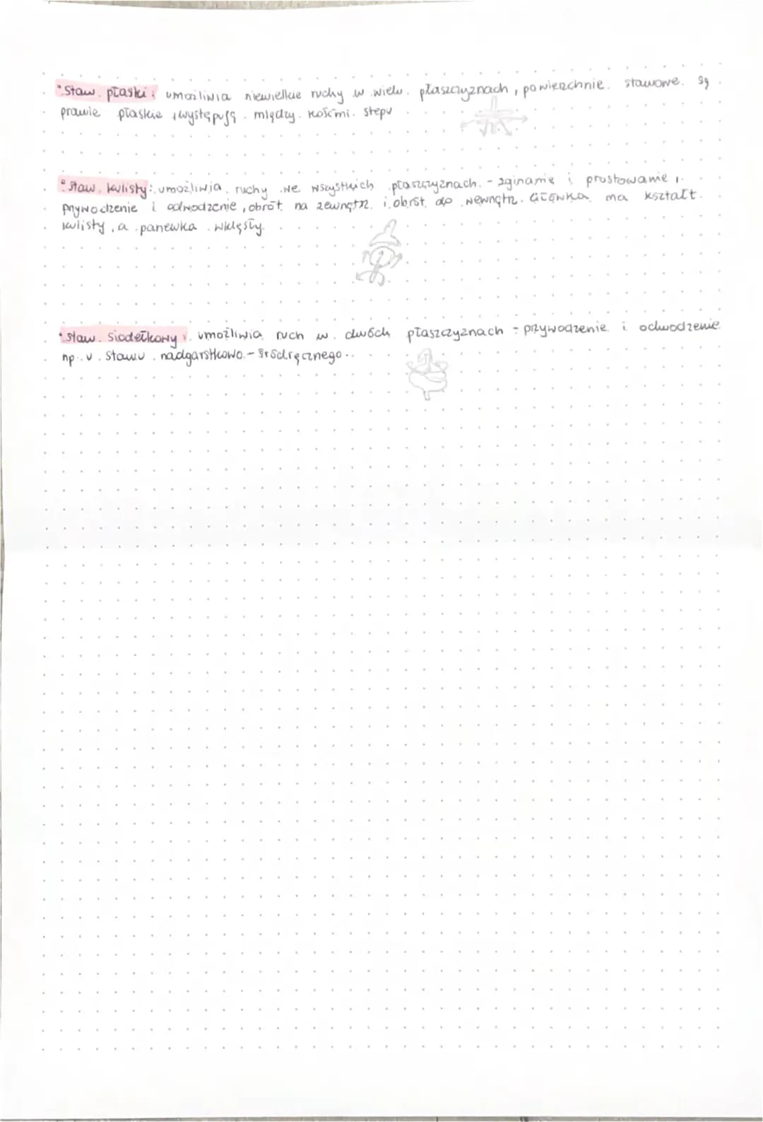 
<h3>Połączenia ścisłe kości</h3>
<p>Kości tarczają się. Połączenia ścisłe kości mają bardzo ograniczoną ruchomość. W zależności od rodzaju,