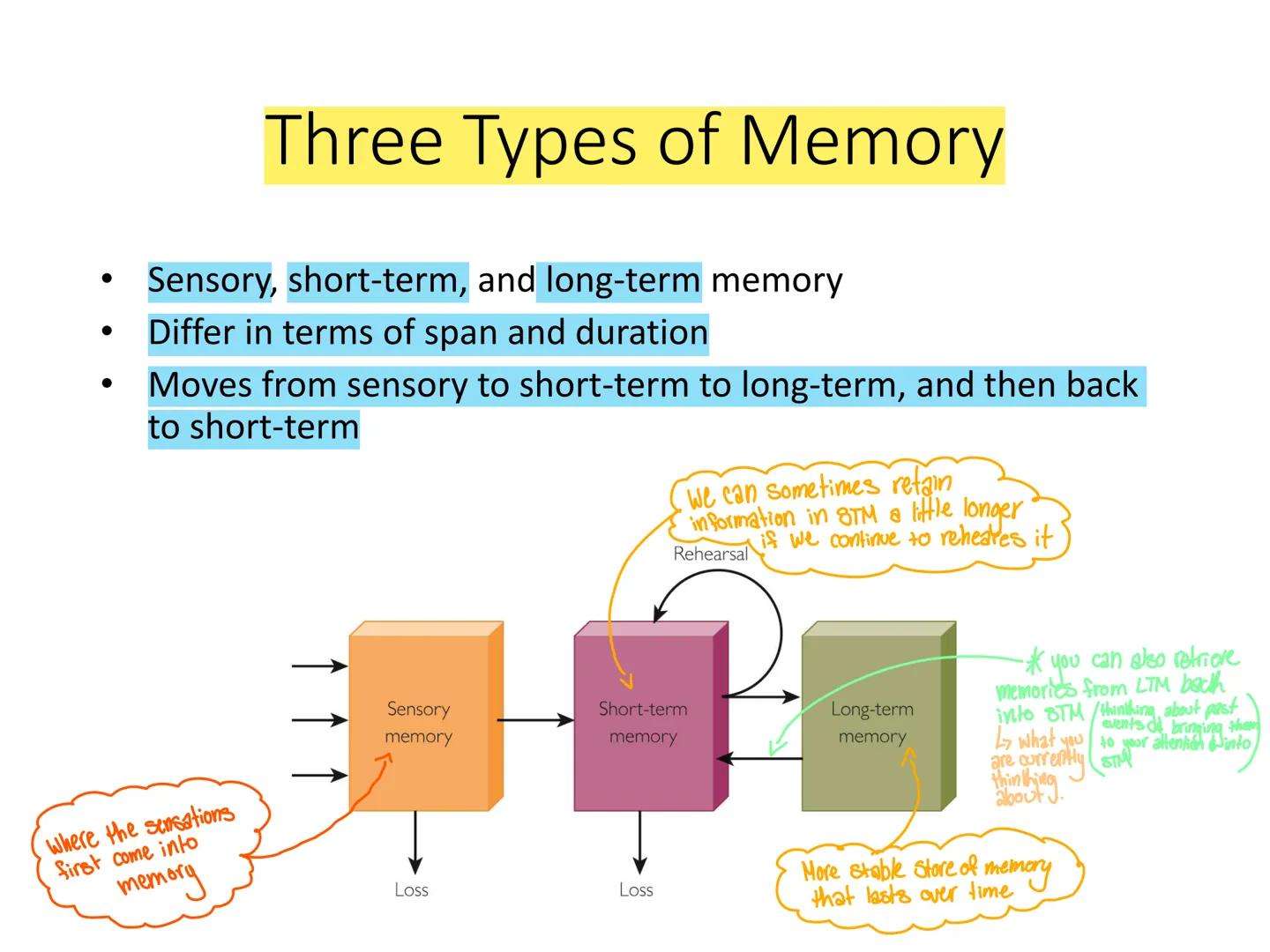 # Psyc 101 – Memory

Dr Nick Reid memory illusions
Sugue
•
# Memory

remembering something that never happen
• This is a memory illusion -> 