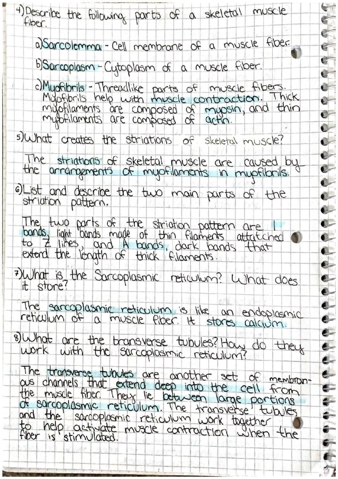 
<h2 id="introduction">Introduction</h2>
<p>The major functions of muscles include movement, toning muscle, propelling foods and bodily flui