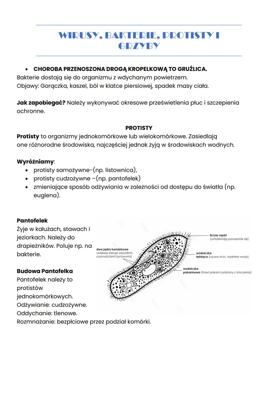 # WIRUSY, BAKTERIE, PROTISTY I
GRZYBY

## WIRUSY

Wirusy to małe cząsteczki zakaźne, które po wniknięciu do komórek organizmu mogą
wywoływać