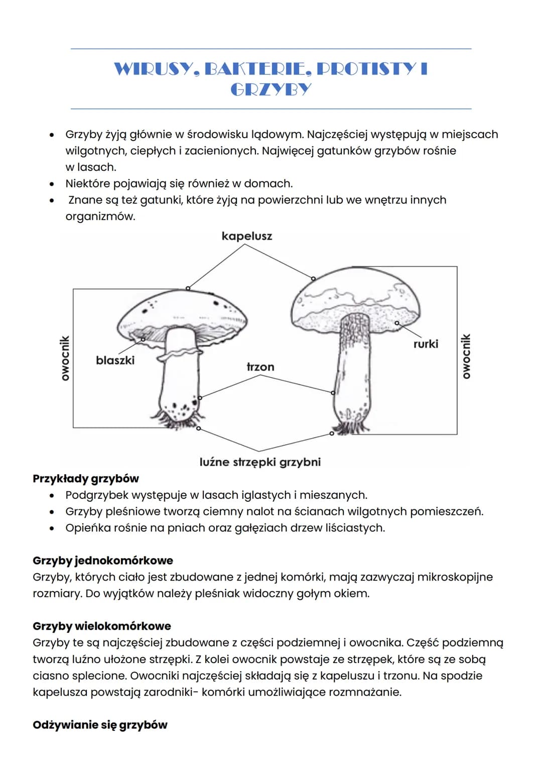 # WIRUSY, BAKTERIE, PROTISTY I
GRZYBY

## WIRUSY

Wirusy to małe cząsteczki zakaźne, które po wniknięciu do komórek organizmu mogą
wywoływać