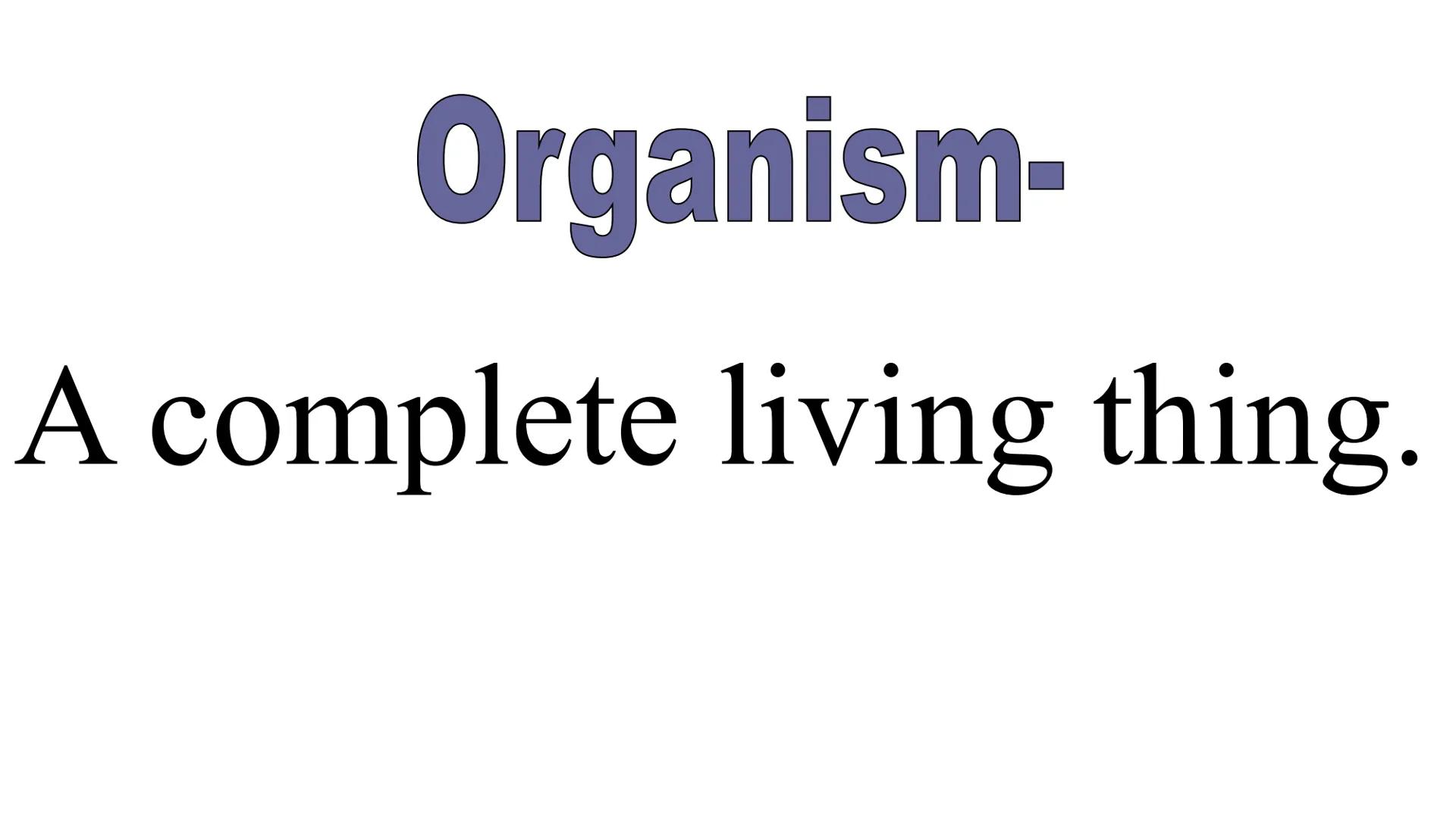 # Animals Chapter 1

Be sure to click on the video links as you go through the slides... # Review:

Remember cells often combine together. #