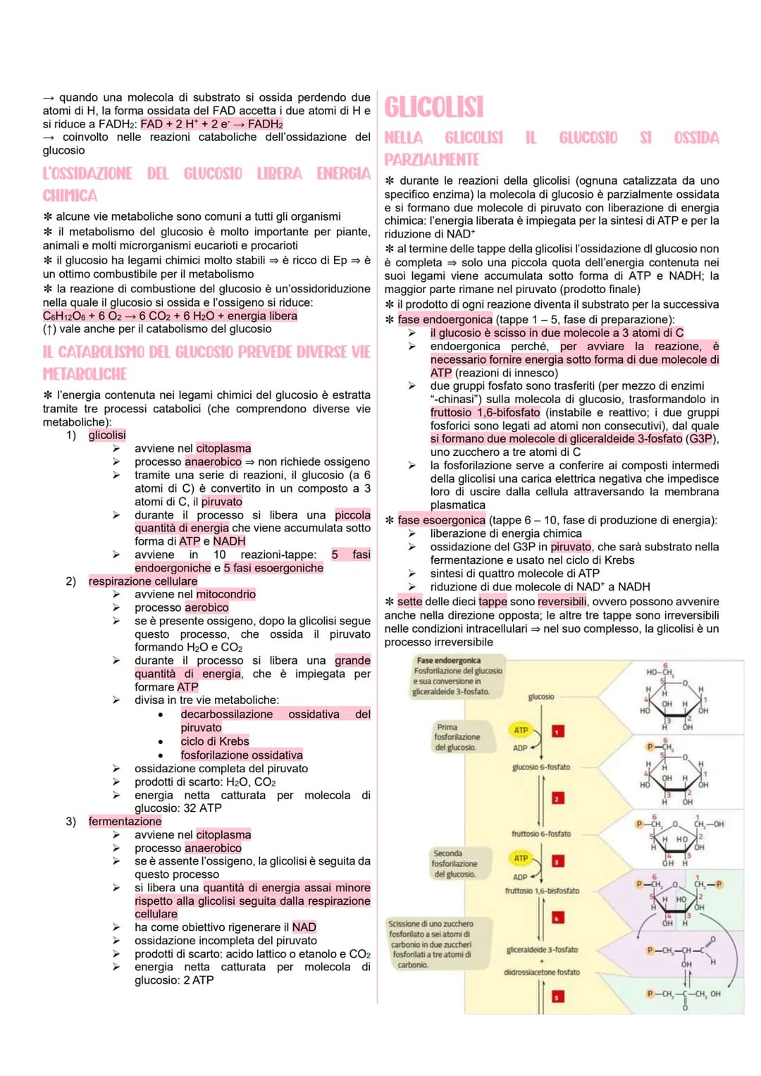 # METABOLISMO CELLULARE

LE VIE METABOLICHE

*   al metabolismo energetico partecipano milioni di reazioni che
    svolgono tre funzioni pri