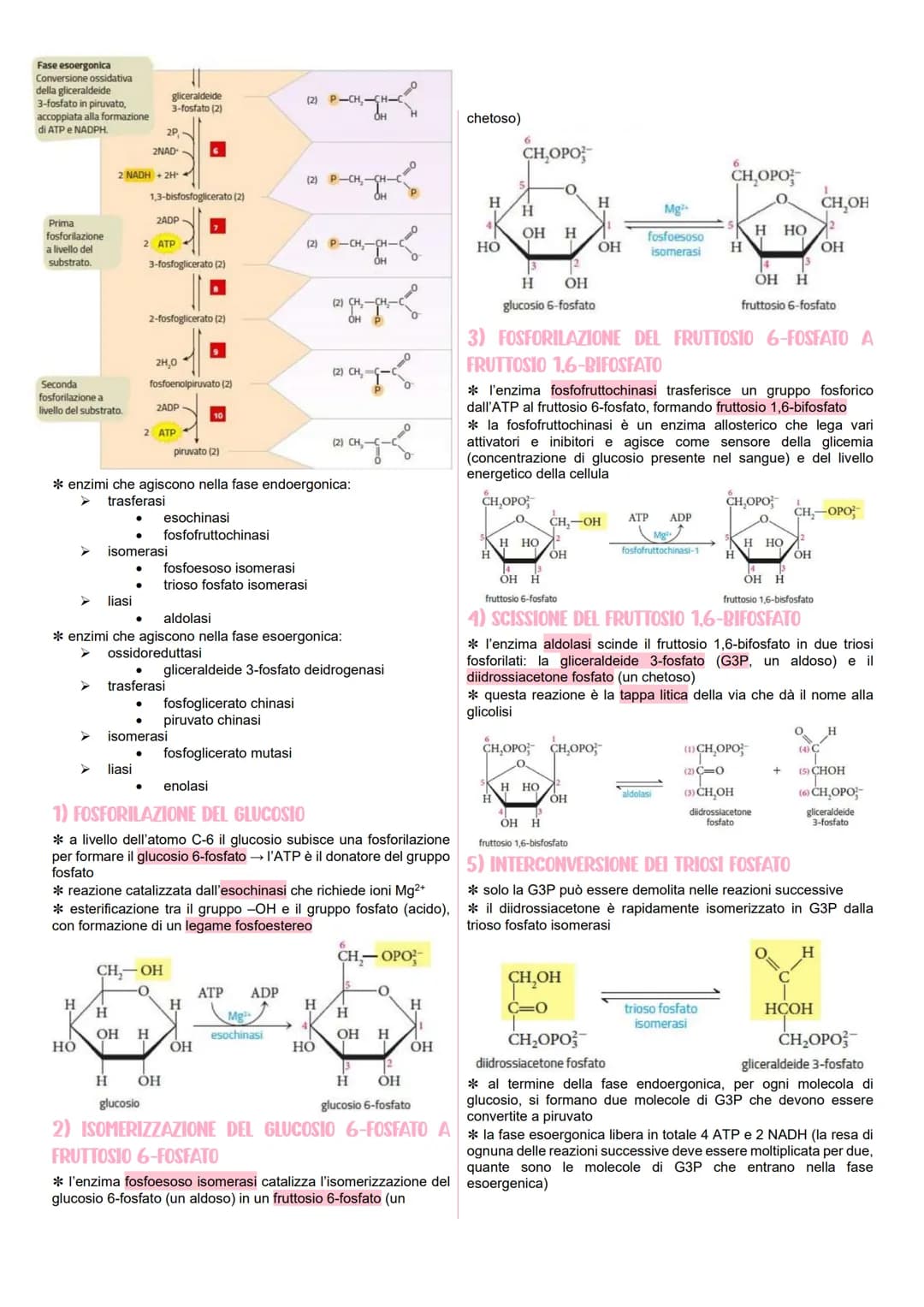 # METABOLISMO CELLULARE

LE VIE METABOLICHE

*   al metabolismo energetico partecipano milioni di reazioni che
    svolgono tre funzioni pri