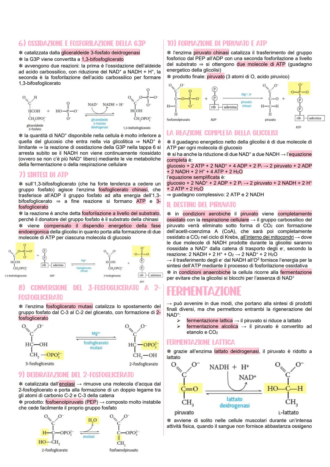 # METABOLISMO CELLULARE

LE VIE METABOLICHE

*   al metabolismo energetico partecipano milioni di reazioni che
    svolgono tre funzioni pri
