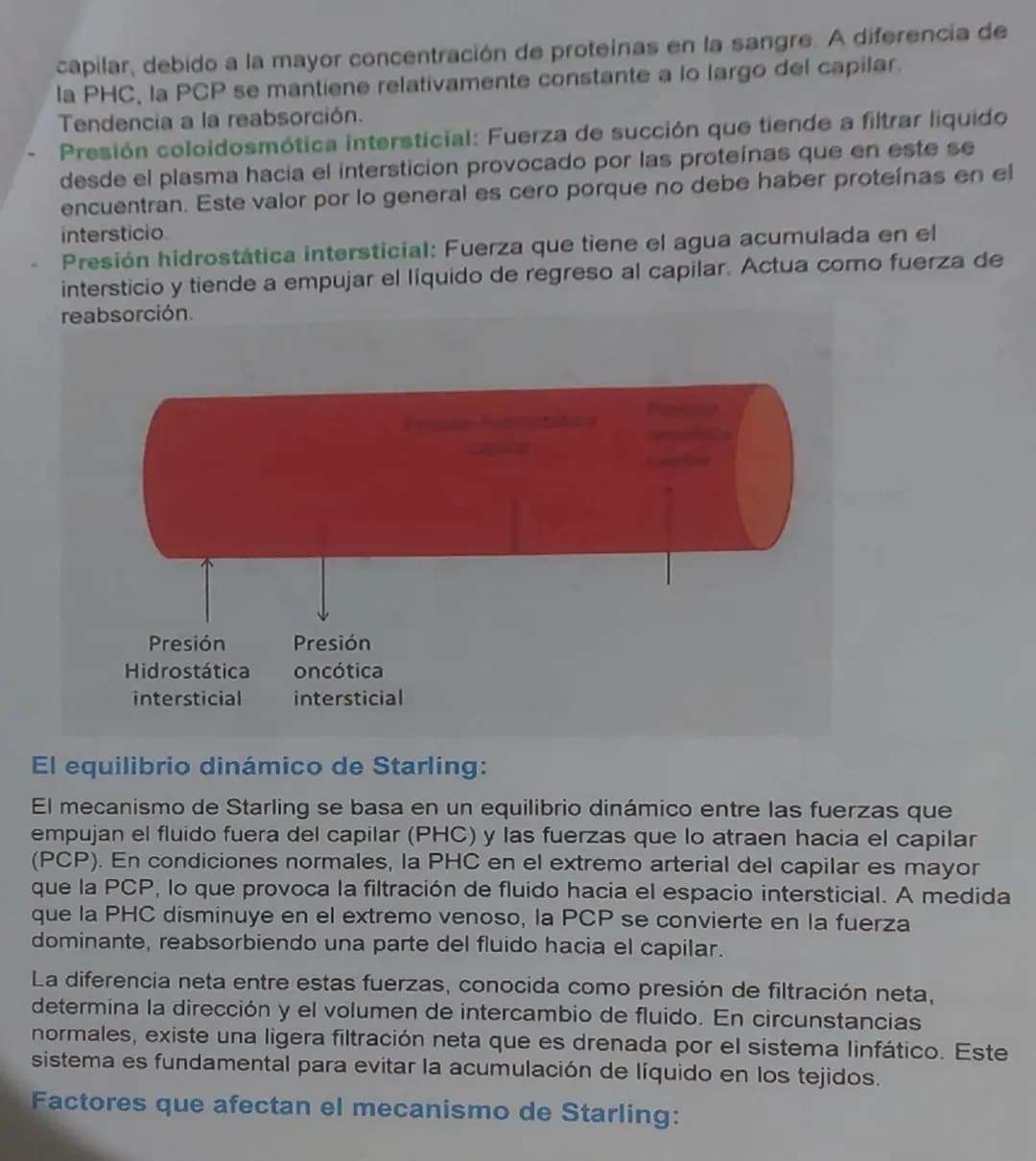 # Fuerzas de Starling

Definición: nombrado en honor al fisiólogo británico Emest Starling

El mecanismo de Starling, también conocido como 