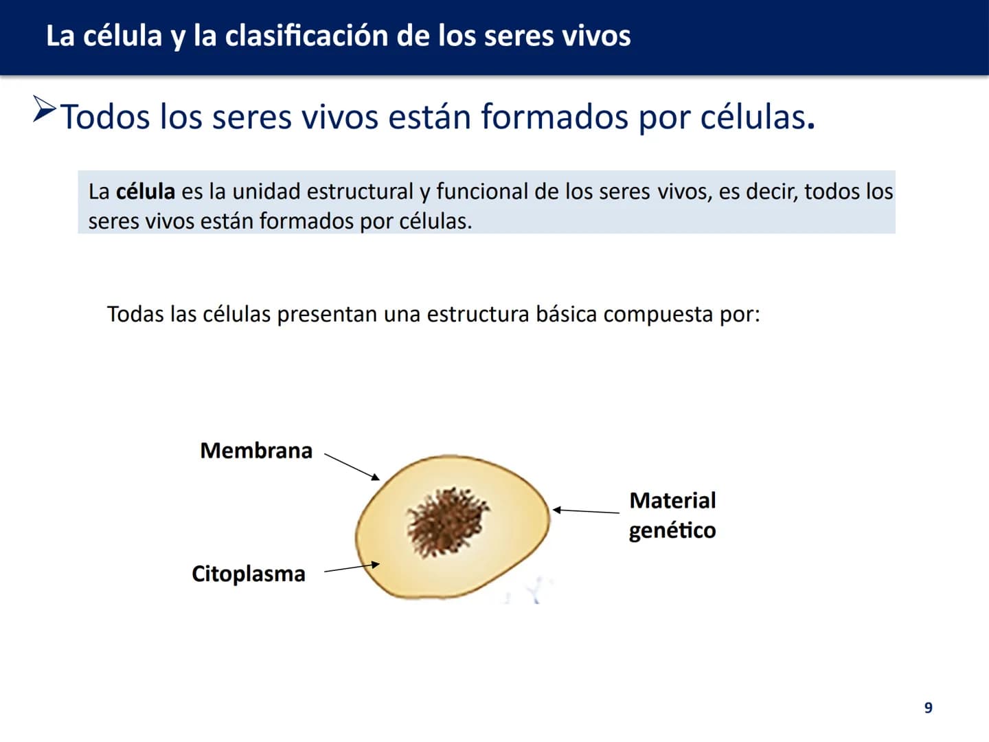 U.D. 1: LA CÉLULA Y LA
CLASIFICACIÓN DE LOS
SERES VIVOS

Biología y Geología # La célula y la clasificación de los seres vivos

ÍNDICE:

1. 
