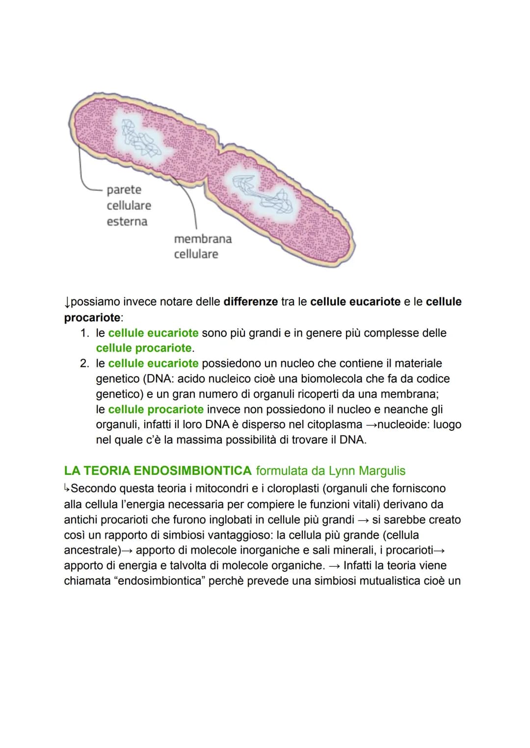 # LA CELLULA

GRADO DI COMPLESSITÀ DELLA MATERIA VIVENTE

↳ 1. ATOMO

2. MOLECOLA

3. BIOMOLECOLA

4. CELLULA (la più piccola parte dell'ess