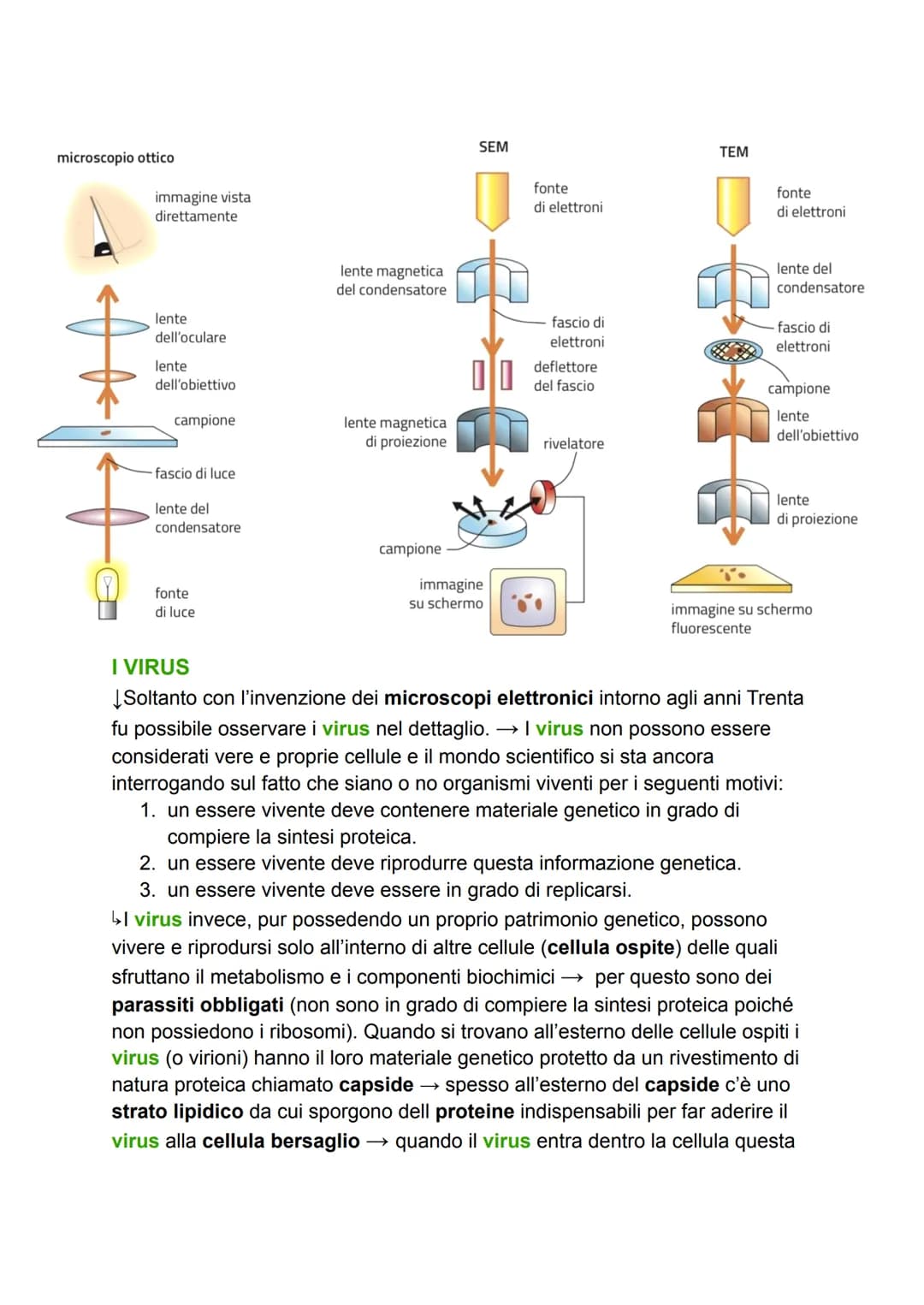 # LA CELLULA

GRADO DI COMPLESSITÀ DELLA MATERIA VIVENTE

↳ 1. ATOMO

2. MOLECOLA

3. BIOMOLECOLA

4. CELLULA (la più piccola parte dell'ess