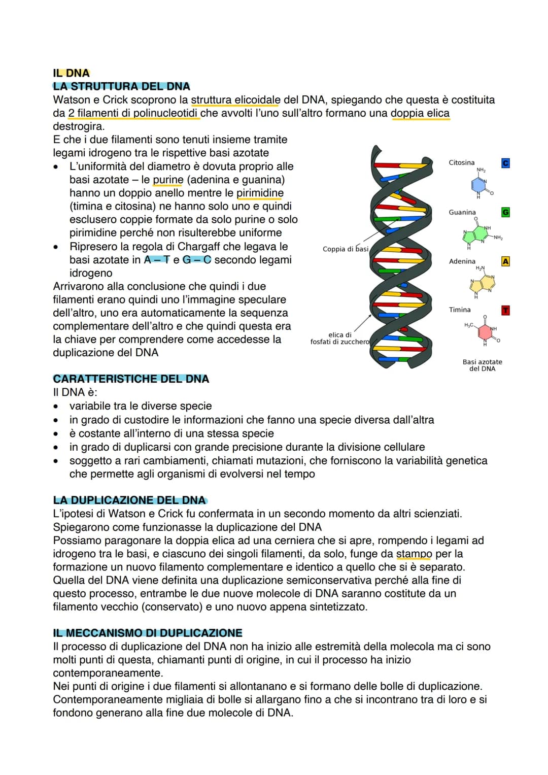# IL DNA

## LA STRUTTURA DEL DNA

Watson e Crick scoprono la struttura elicoidale del DNA, spiegando che questa è costituita
da 2 filamenti