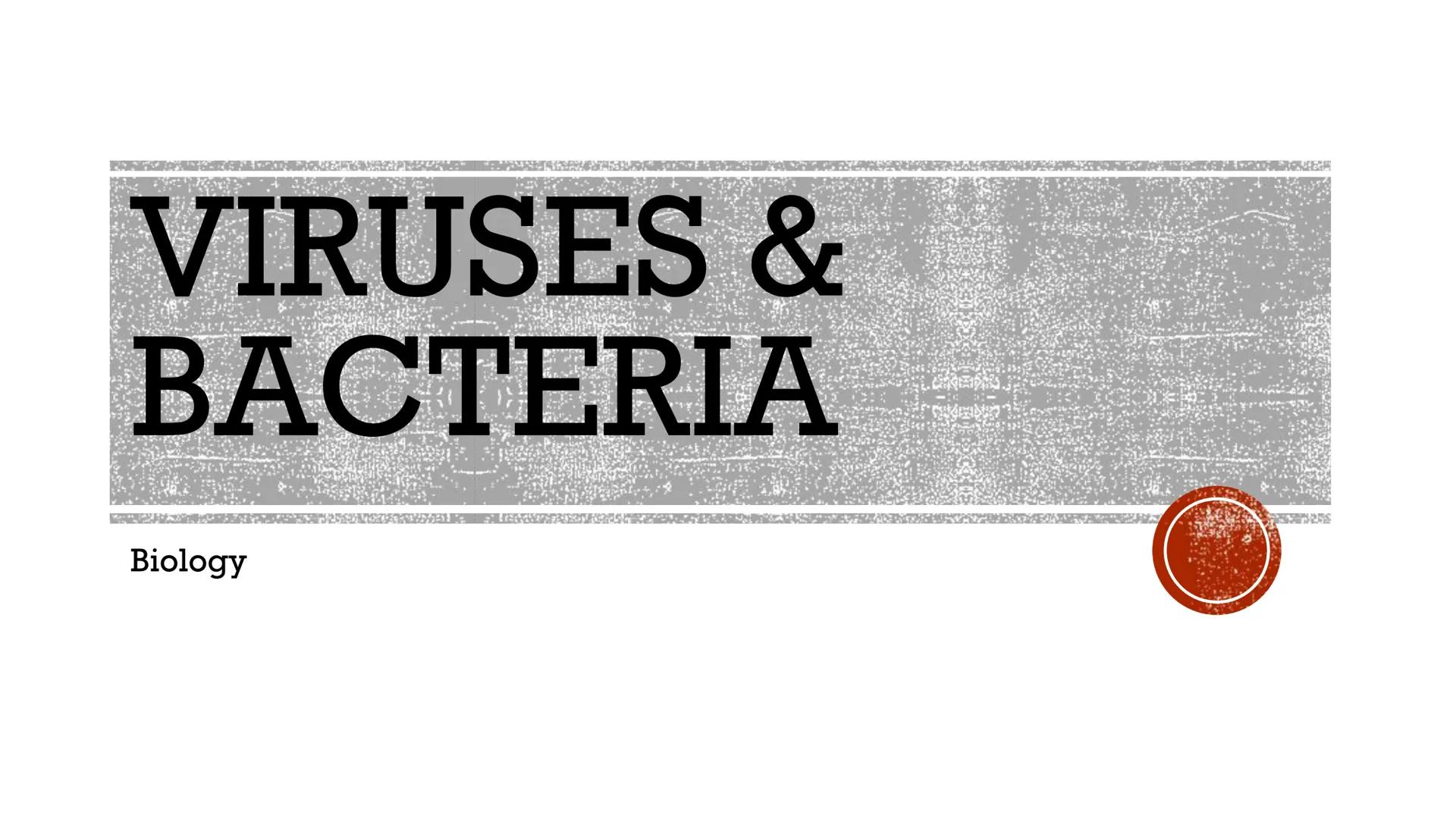 # VIRUSES &
# BACTERIA

Biology # VIRUSES: LIVING OR NO'

*   Most biologists do not consider
viruses to be alive.

    *   A virus has no c