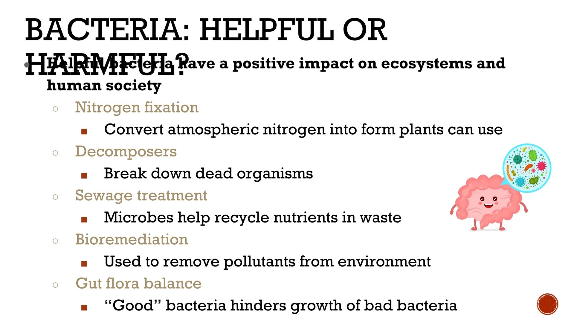 # VIRUSES &
# BACTERIA

Biology # VIRUSES: LIVING OR NO'

*   Most biologists do not consider
viruses to be alive.

    *   A virus has no c