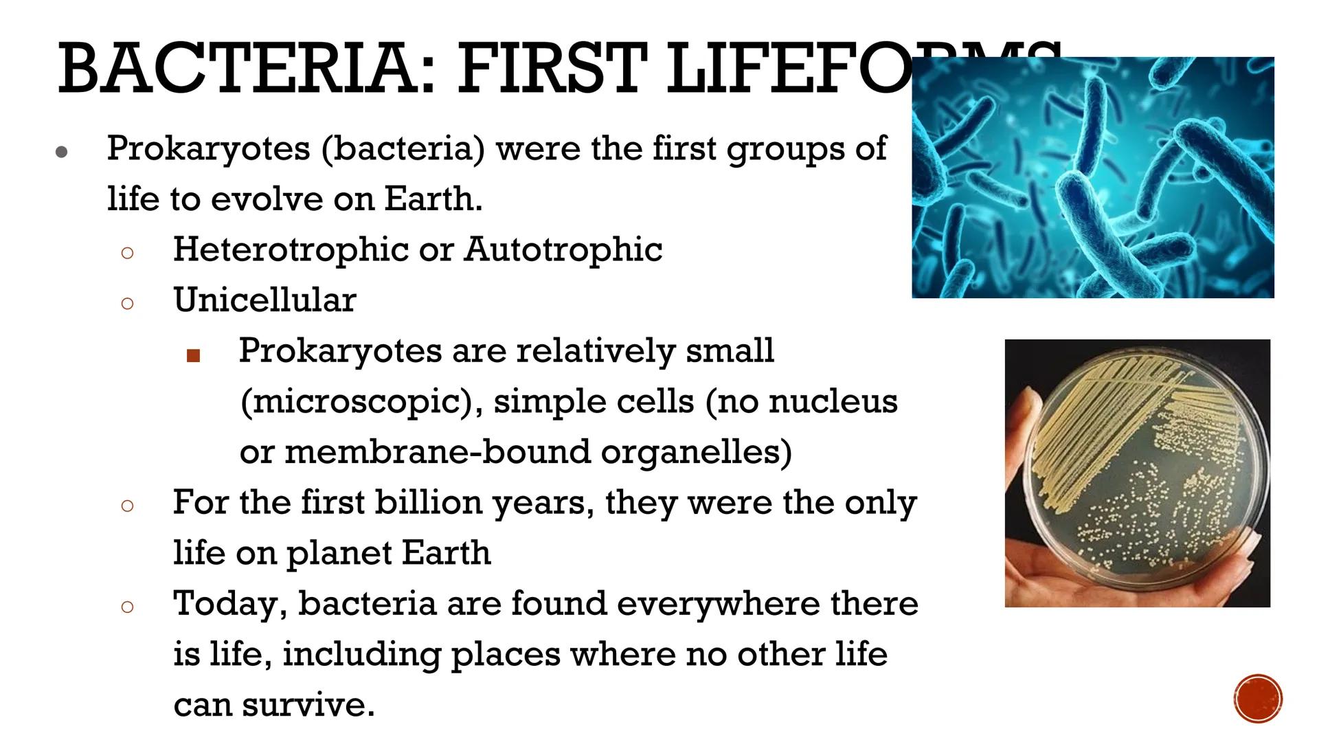 # VIRUSES &
# BACTERIA

Biology # VIRUSES: LIVING OR NO'

*   Most biologists do not consider
viruses to be alive.

    *   A virus has no c