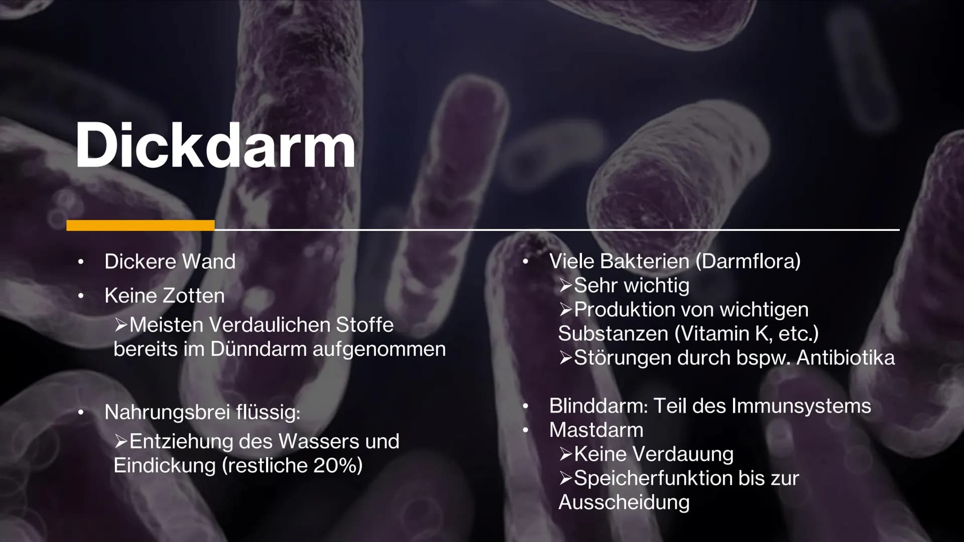Magen-
Darm-Trakt # Gliederung




Definition

Organe

Mundhöhle & Speiseröhre

Magen

Darm

Quellen X
+
٥٠٠
Definition
• Alle Teile des Kör